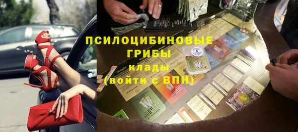 хмурый Богородск